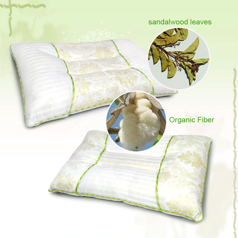 Aroma Health Pillow CZ-20HE